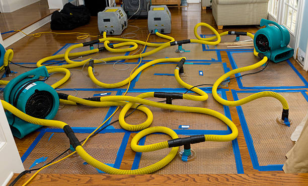 Professional Storm Water Damage Restoration technician working in Slidell, LA